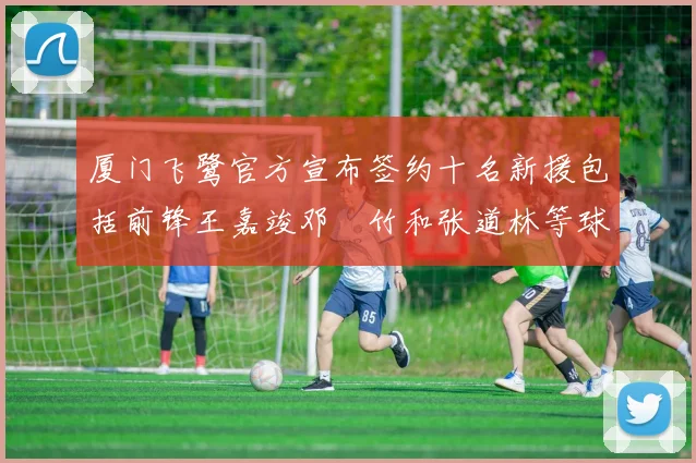厦门飞鹭官方宣布签约十名新援包括前锋王嘉竣邓棽竹和张道林等球员