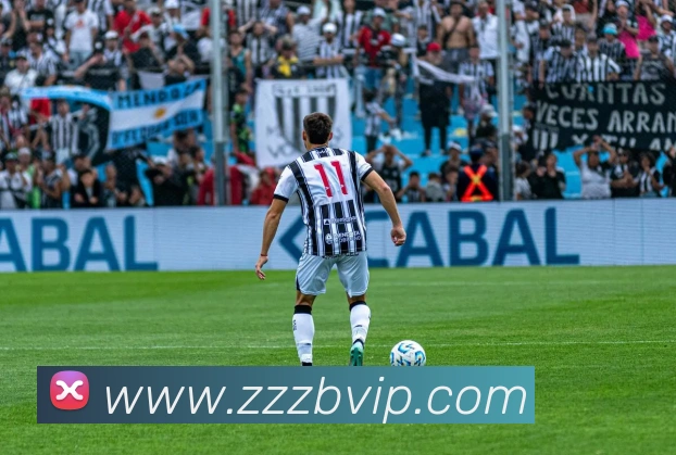 蜘蛛直播品牌故事