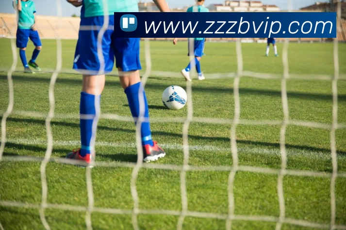 蜘蛛直播服务体系